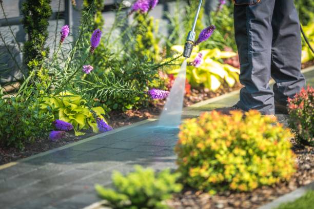 Best Commercial Pressure Washing in New Windsor, MD
